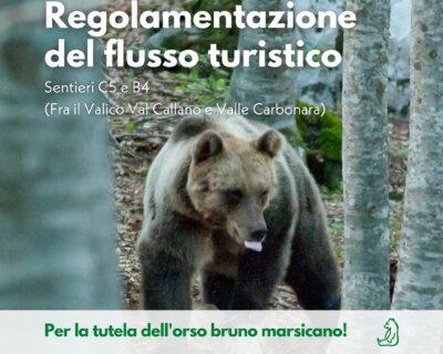 Parco Nazionale d’Abruzzo a numero chiuso per tutelare l’Orso marsicano 